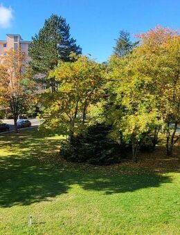 Helle 3-Zi.-Whg. + Küche in Gravenbruch, 1. OG, frei ab 02/26, renoviert, prov.-frei!! - Neu Isenburg