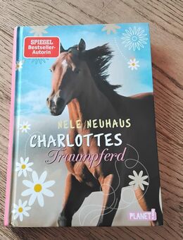 Lesesspass für Pferdemädchen - Braunschweig