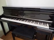 Klavier YAMAHA NU1+Transport - Maxdorf