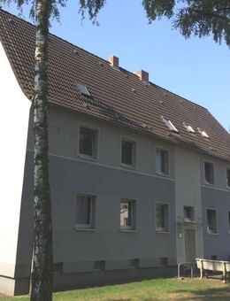 Hier schlägt besonders das Herz für Singles und Paare - Oberhausen