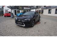 Lexus UX 250h Style Edition - Untermeitingen