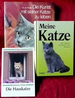 3 tolle Bücher über Katzen und deren Haltung - Niederfischbach
