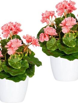 Kunstpflanze Havel Geranie, Home affaire, Höhe 24 cm, im Topf, 2er Set