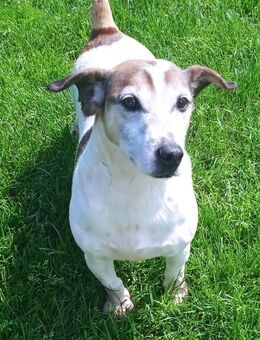 JORDI - jeden Tag Spannendes erleben - Overath