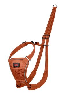 Halti Harness No Pull Trainingsgeschirr - orange: Größe M, z.B. Retriever, Border Collie
