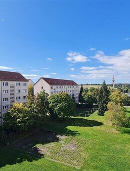 **ERSTBEZUG** kleine Welt ganz groß - Chemnitz
