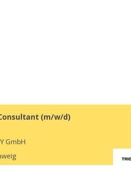 IT-Prozess Consultant (m/w/d) - Braunschweig