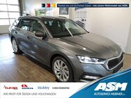 Skoda Octavia, 2.0 TDI Combi Style, Jahr 2024 - Blankenburg (Harz)