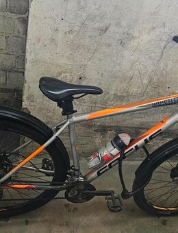 Fahrrad Mauntine Bike Continental 28 - Ludwigshafen (Rhein)