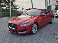 Jaguar XF 20d Prestige Navi.Volleder.KeylessGo.Bi-Xenon - Mainz