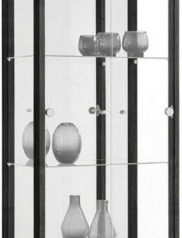 fif möbel Vitrine OPTIMA Standvitrine, Vitrinenschrank, Glasvitrine, Sammlervitrine, LED