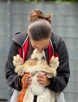Loui ein Traum von Hund... - Hagen (Stadt der FernUniversität)
