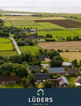 Hallig-Gefühl auf dem Festland: Leben auf einer Warft - Ockholm