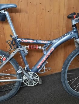 Mountain Bike - Gau-Bischofsheim