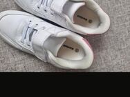 Turnschuhe Größe 31 - Blomberg (Nordrhein-Westfalen)