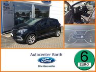 Renault Captur, 0.9 TCe 90 eco² ENERGY Limited, Jahr 2018 - Grimmen