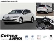 VW Golf, 1.5 VIII Life eTSI, Jahr 2023 - Zülpich