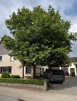 Ehemaliger Bauernhof in idyllischer Lage mit 2 Einliegerwohnungen & Nebengebäuden - Sundern (Sauerland)