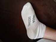 Kappa Sox abzugeben! - Wurzen