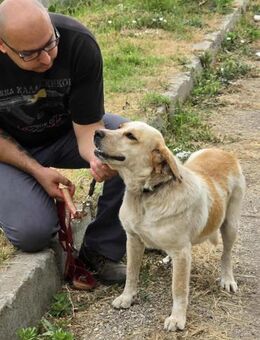 TUTTI ist eine sensible sanfte Seele ♥️ - München