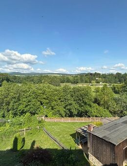 Renovierungsbedürftige 2-Zimmer-Eigentumswohnung in Marktredwitz mit Gartenanteil und schönen Blick über den Auenpark! - Marktredwitz