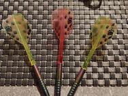 Soft Darts rainbow Optik 18gramm - Waldsassen