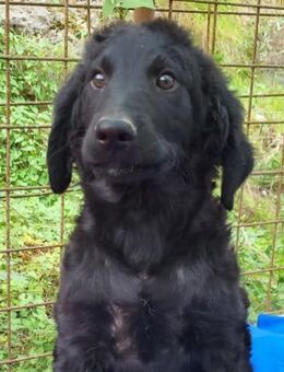 Yuki 💗 froher, aufgeschlossener Bub! - Hamburg