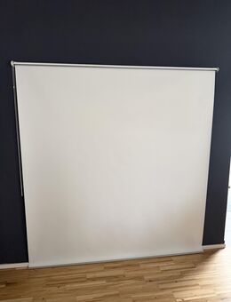Projektionsleinwand 185x185 cm mit Kettenzug, Wand/Decke - Essen