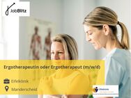 Ergotherapeutin oder Ergotherapeut (m/w/d) - Manderscheid (Landkreis Bernkastel-Wittlich)