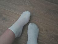 Getragene Socken - Offenbach (Main)