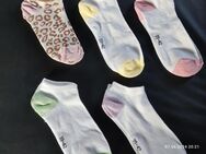 Verkaufe getragene Sneaker Socken 💨 - Saarbrücken