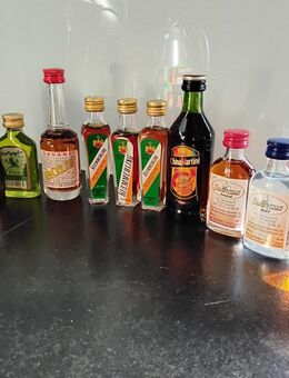 Spirituosen Alkoholica 20 versch. kleine Fläschchen - Leopoldshöhe