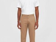 KnowledgeCotton Apparel Chinohose LUCA slim mit Label-Stichting hinten