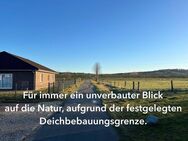 Schöner Bungalow direkt am Elbdeich - Ihr unverbaubarer Blick - Hittbergen