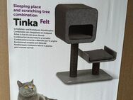 Tinka Kratzbaum Katze - Iserlohn