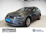 VW Golf Variant, 1.5 TSI Golf VII Highline, Jahr 2020 - Bitterfeld-Wolfen