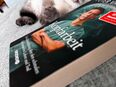 3 Britisch Kurzhaar Kitten suchen ein liebevolles Zuhause! in 65197