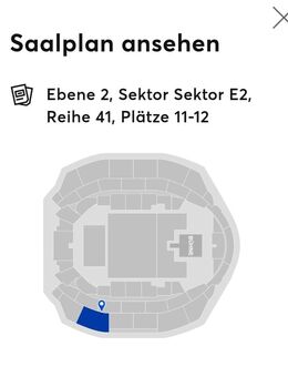 2 Sitzplatztickets für XAVIER NAIDOO in Zürich - Linkenheim-Hochstetten