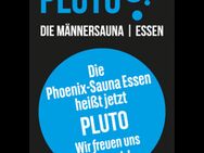 Erfahrung Pluto Essen - Kleve (Nordrhein-Westfalen)