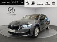 Skoda Octavia, 1.5 Combi mHEV Selection Lounge, Jahr 2024 - Oelsnitz (Erzgebirge)