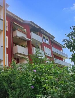 3 Zi.-Wohnung in einem energetisch sanierten Wohnhaus in Waldkirch - Waldkirch