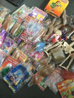 Mein Körper Wie geht das? Große Sammlung Magazine Bauteile - Fulda