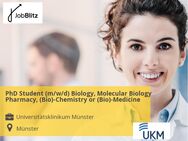 PhD Student (m/w/d) Biology, Molecular Biology, Pharmacy, (Bio)-Chemistry or (Bio)-Medicine - Münster