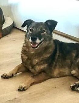 Schnuppi 35 cm (Pflegestelle) - Alpenrod