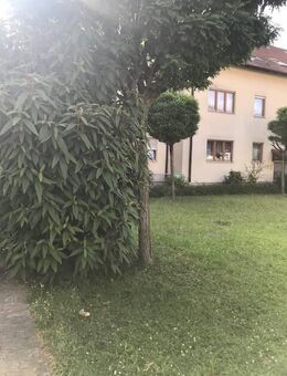 Ruhige im Zentrum Rastatt schöne helle 2,5-Zimmerwohnung mit Hobbyraum, Keller, TG Stellplatz und Außenstellplatz - Rastatt