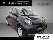 smart EQ forfour, Volldach, Jahr 2020 - Eisenach