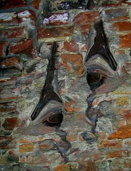KUNST SCHAFFT BILDER DER FREIHEIT - Uelzen