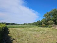"Ihr Gebot bitte" ... Traumlage - Grundstück am Ende einer Sackgasse mit Blick über Wiesen - Leer (Ostfriesland)