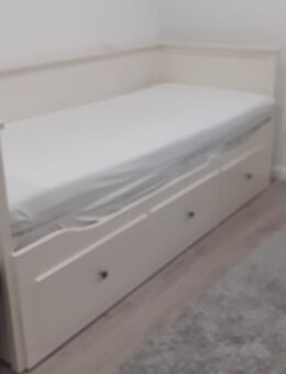 Einzelbett ausziehbar - Nievern