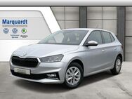 Skoda Fabia 1.0TSI Style Digital LED Lane DSG - Stuttgart